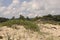 Beach and sand dunes of Arkutino, Bulgaria