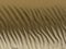 Beach Sand dunes background desert ripples made in sand by wind