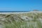 Beach sand dunes coast with fine sand