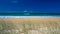 Beach with sand dunes, grass and blue sky, Sunshine Coast, Australia