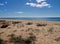 Beach with sand, dunes, plants and blue ocean