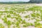 Beach Sand Dunes Plants River Lagoon Landscape