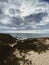 beach  sand and herb dunes  sea