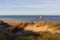 Beach with sand, marram grass and a ship in the background