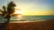 Beach, sand, palm trees and sea waves crashing on the shore, sunset, film from a tripod