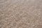 Beach sand shells ocean texture pattern desert