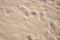 Beach sand texture with step marks. Smooth yellow sand surface card. Sandy seashore top view photo. Tropical beach