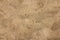 Beach sands texture