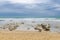 Beach of the Scala dei Turchi in Sicily, Italy