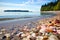 a beach scattered with colorful seashells and tide rolling in during summer