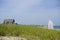 Beach scene with grass Ditch Plains Montauk New York