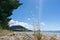 Beach scene Mount Maunganui across Tauranga Harbor from Matakana Island