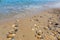 Beach scene, rocks and small waves, tranquil landscape of the coast