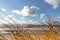 Beach Scene with sand, sea, dune grasses and sky