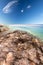 Beach scenery with pine tree in Croatia, Istria, Europe