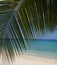 Beach Scenin in Barbados, West Indies