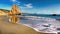 Beach Sea Stack Oregon, West Coast America, Tourist Attraction