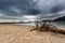 Beach and sea in winter - Gulf of La Spezia Italy