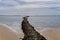 Beach and seashore in Rota with the famous Las Corrales walls in the ocean for trapping fish and shellfish