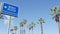 Beach sign and palms in sunny California, USA. Palm trees and seaside signpost. Oceanside pacific tourist resort aesthetic. Symbol