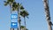 Beach sign and palms in sunny California, USA. Palm trees and seaside signpost. Oceanside pacific tourist resort aesthetic. Symbol