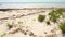 Beach with small grass clusters moving in slow wind, clear sea with boats distance, region near Anakao, Madagascar