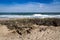 Beach and stone atlantic sea florida