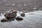 Beach stones at sand formation