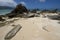 Beach with stratified calcarenite on Lord Howe Island