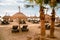 Beach straw umbrellas and palm trees