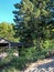 Beach structure amongst green trees