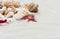 Beach summer background â€“ seashells and sea stars on the sand, copy space for text