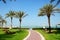 The beach with sunbeds on the green lawn and palm trees shadows in luxury hotel