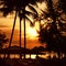 Beach sunset at the coast line, palm tree