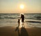 Beach sunset walk hand in hand silhouette