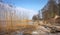 Beach on the Szczecin Lagoon, also known as Oder Lagoon or Pomeranian Lagoon, located in the Oder estuary, shared by Germany and