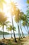 Beach with tall coconut trees against blue sky off west coast of Myanmar