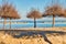 Beach with Tamarisk trees in Italy