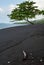 Beach in Tangkoko National Park