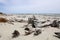 Beach. Te Wahipounamu. Westland National Park. New Zealand