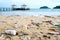 Beach in Thailand ruined by heavy plastic pollution