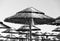 Beach thatched parasols