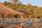 Beach with thatched umbrellas and sunloungers surrounded by palm trees.