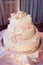 Beach Theme Wedding Cake with Starfish and Shells