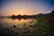 Beach tide flood sunrise moss seaweed