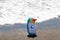 Beach toy background. Selective focus on one colorful inflatable rubber penguin toy at a sandy sunny beach. Space for advertising