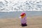 Beach toy background. Selective focus on one colorful inflatable rubber penguin toy at a sandy sunny beach. Space for advertising