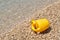 Beach toys - yellow watering can on the beach