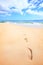 Beach travel vacation concept - footsteps in sand