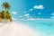 Beach travel vacation tropical paradise getaway on coral reef island atoll with idyllic pristine ocean crystal clear